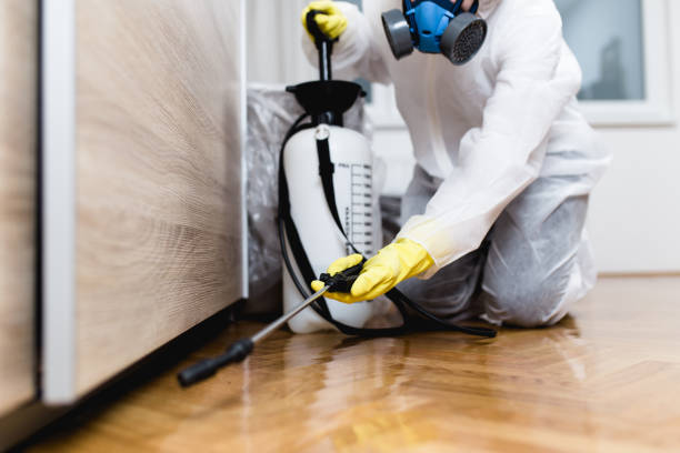 Best Pest Inspection Near Me  in Lathrup Village, MI