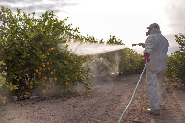 Professional Pest Control in Lathrup Village, MI