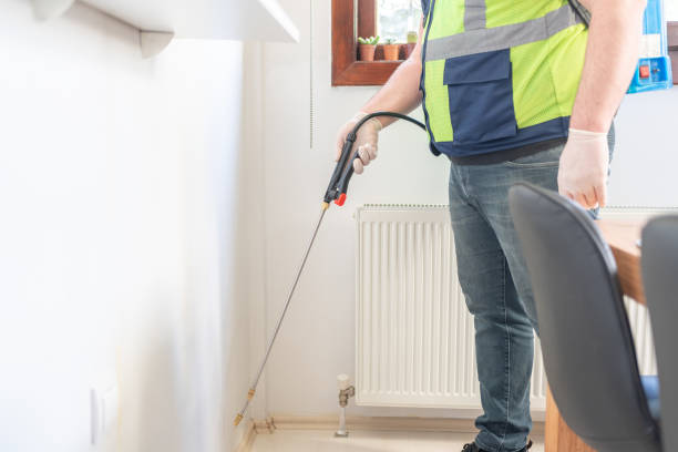 Best Flea Control Services  in Lathrup Village, MI
