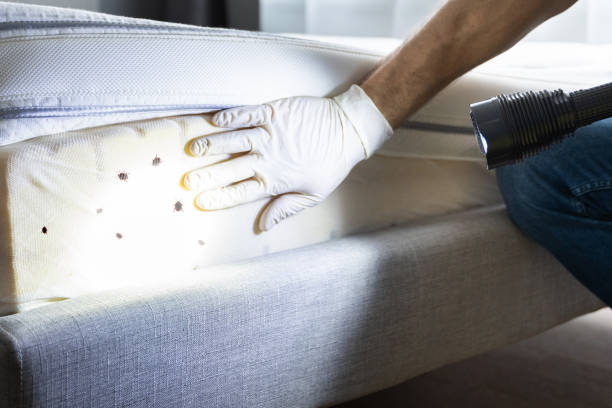 Pest Control Cost in Lathrup Village, MI
