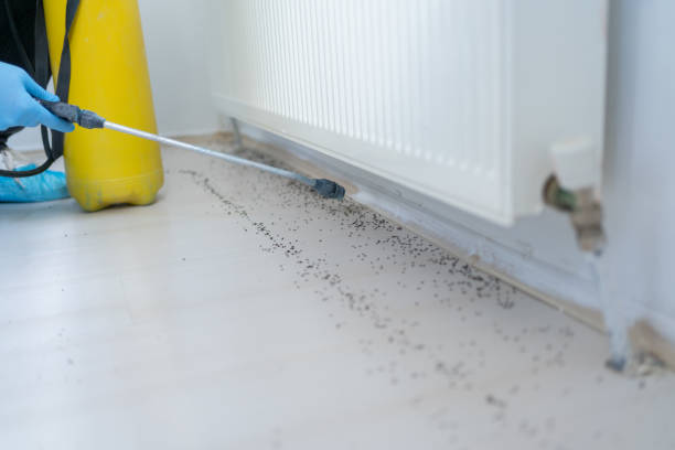 Best Cockroach Control Services  in Lathrup Village, MI