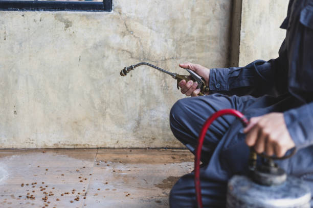 Best Mosquito Control Services  in Lathrup Village, MI